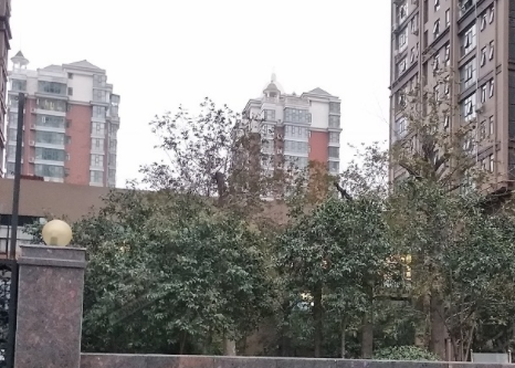 亚星平台会员