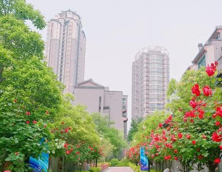 亚星登录平台